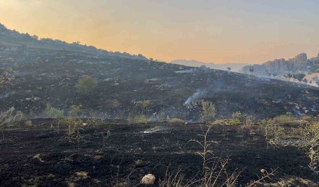 Diyarbakır’da merada başlayan yangın ormanlık alana yayıldı