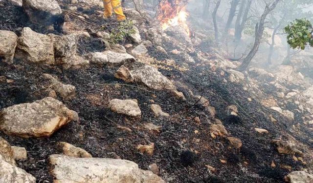 Diyarbakır’da orman yangınına helikopter destekli müdahale sürüyor