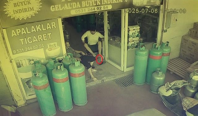 Dükkana giren yılan, esnafı sokağa fırlattı