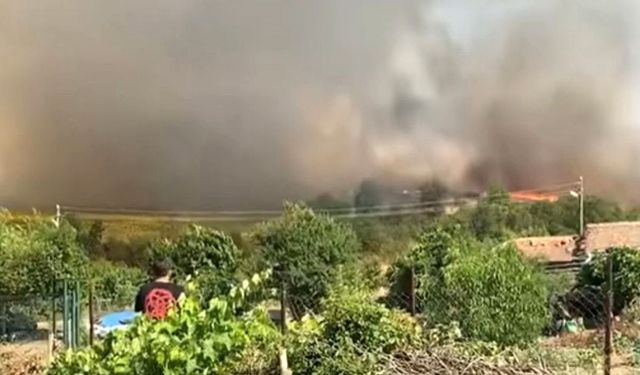 Edirne’de 30 dönümlük buğday tarlası alev alev yandı