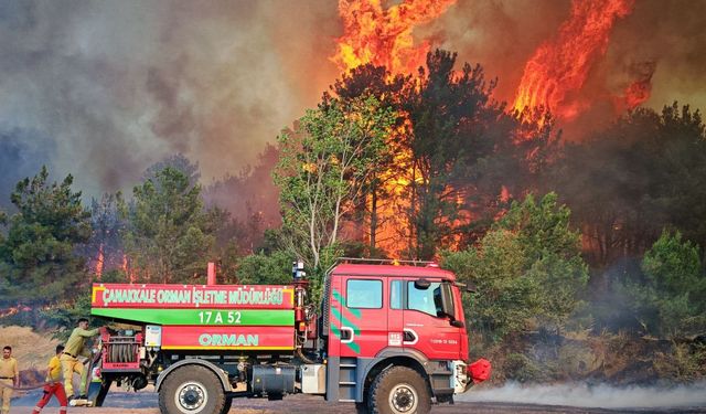 Edirne’de orman ve anız yangınında alevler metrelerce yükseldi