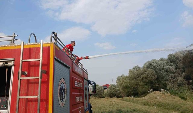 Elazığ’da ağaçlık alanda çıkan yangın ekipler tarafından  söndürüldü