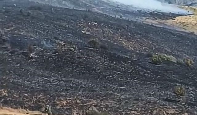 Elazığ’da arazi yangını