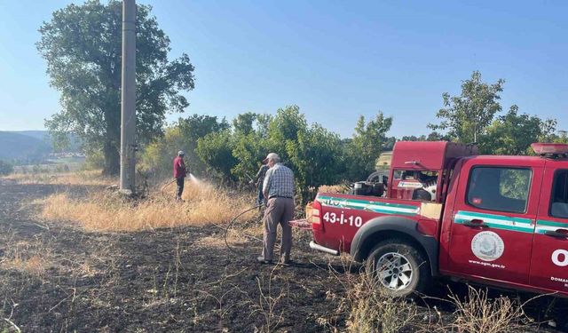 Elektrik akımına kapılan kuş yangına neden oldu