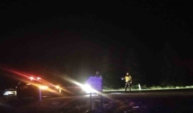 Elektrik tellerine çarpan kuş yangına sebep oldu