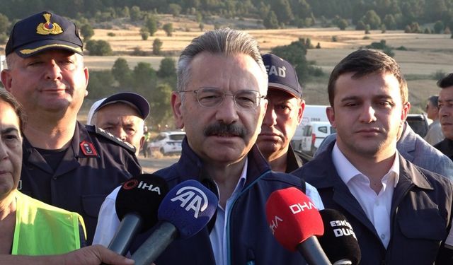 Eskişehir Valisi Aksoy: "Yangında 60 hektar alan zarar gördü"