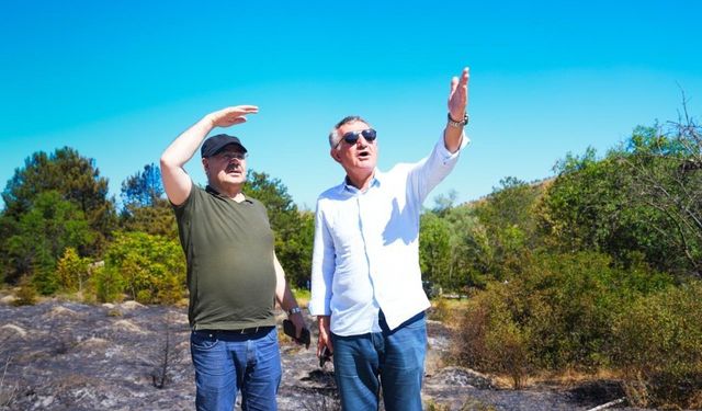 Eymir Gölü’nde yangının ardından soğutma ve temizlik çalışmaları yürütülüyor