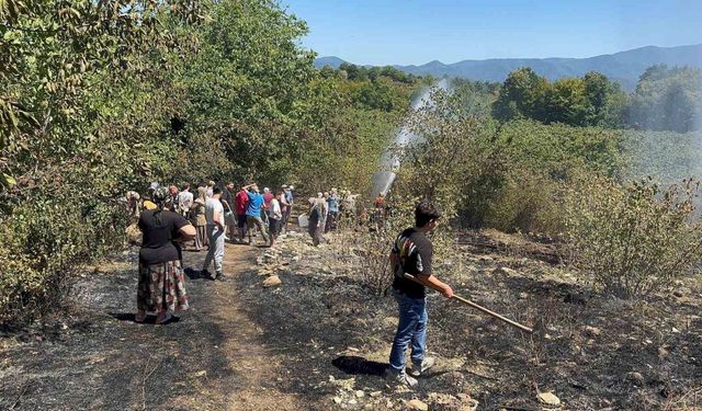 Fındık bahçesinde temizlerken bir dönüm alan zarar gördü