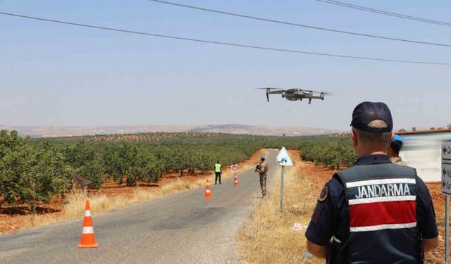 Gaziantep’te jandarma ekipleri ’yeşil altın’ için nöbette