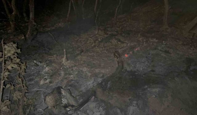 Gebze’de gece yarısı orman yangını: 7 dönüm alan kül oldu
