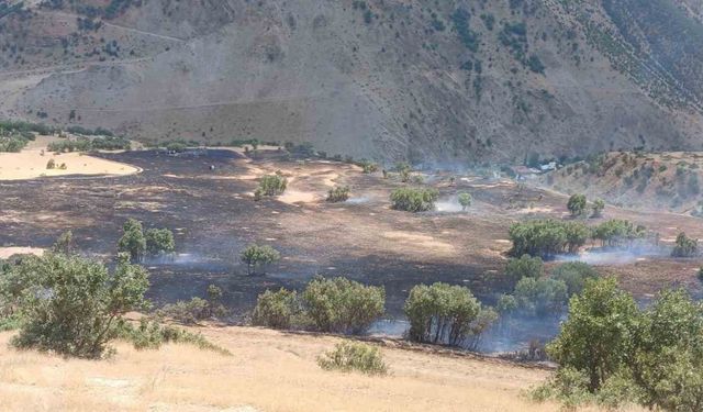 Hakkari’de anız yangını