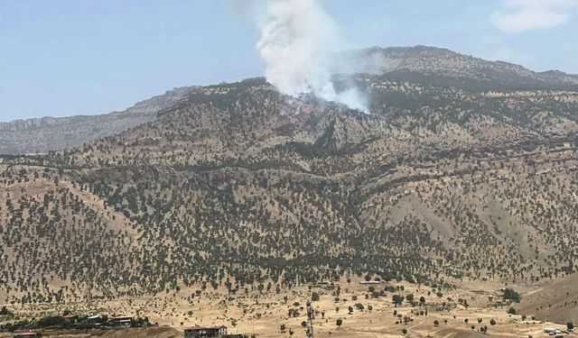 Hakkari’de orman yangını