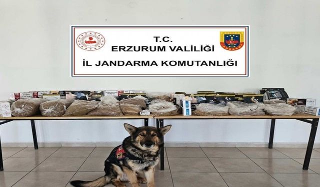 Jandarmadan kaçakçılara operasyon
