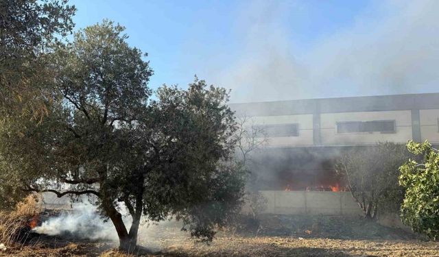 Kamyonette başlayan yangın fabrikaya sıçradı