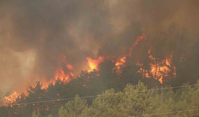 Karabük’te 29 saattir süren orman yangını yeniden alevlendi