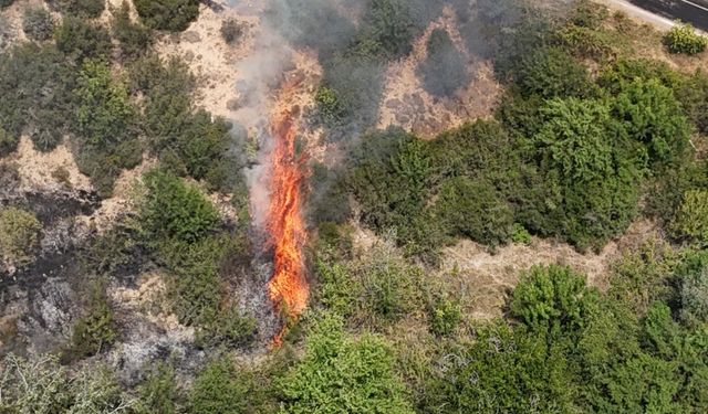 Karabük’te orman yangını kontrol altına alındı