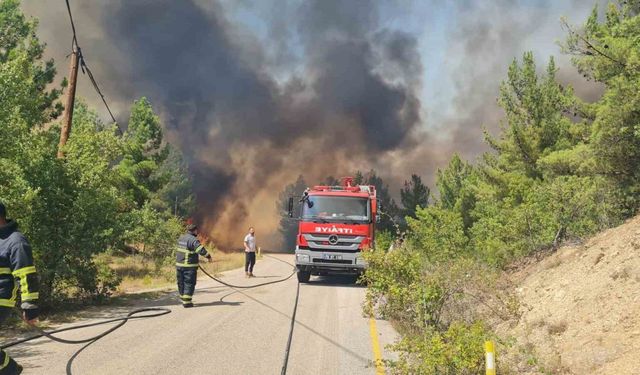Karabük’te orman yangınında iki mahalle tahliye edildi