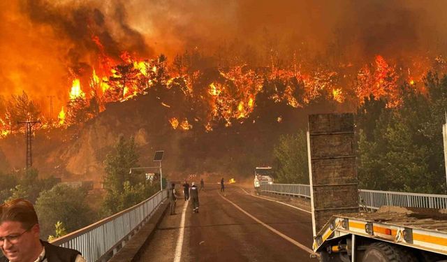 Karabük’te orman yangınında korkutan manzaralar