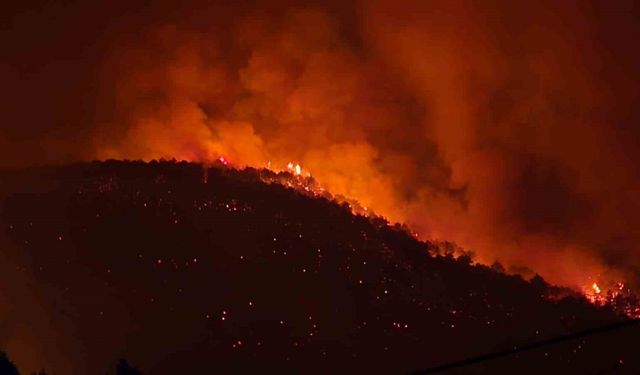 Karabük’te orman yangınları nedeniyle 10 köy boşaltıldı