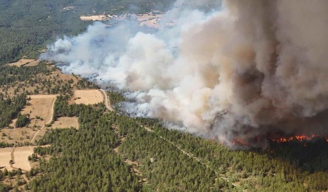 Karabük’te yangının çıktığı nokta dronla havadan görüntülendi