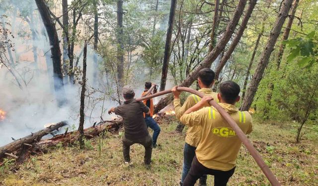 Karabük’teki orman yangınına 205 personel ve 63 araçla müdahale sürüyor