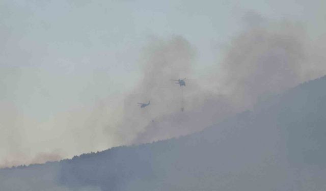 Karabük’teki yangın 4. gününde