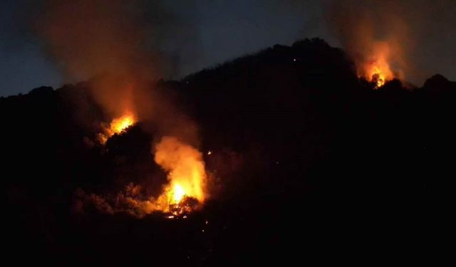 Karadeniz Ereğli’deki orman yangını 3,5 saat sonra kontrol altına alındı