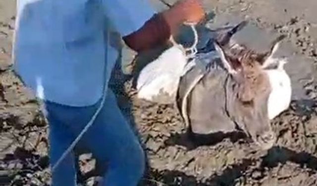 Kars’ta çamura saplanan eşek kurtarıldı