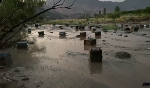 Kars’ta sel felaketi: Arı kovanları sular altında kaldı