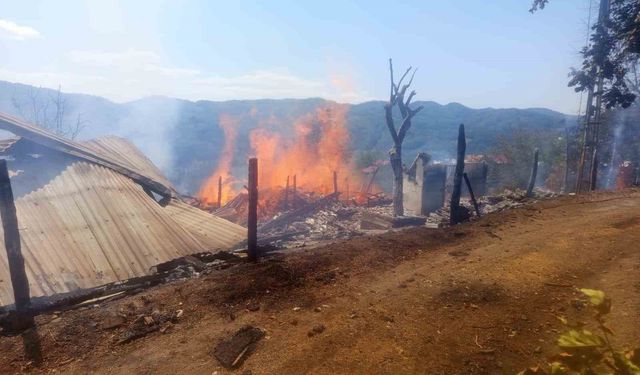 Kastamonu’da ev yangını