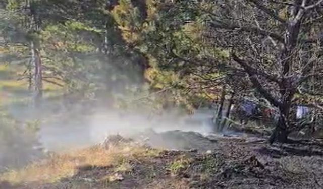 Kastamonu’da ormanlık alanda çıkan yangın büyümeden söndürüldü