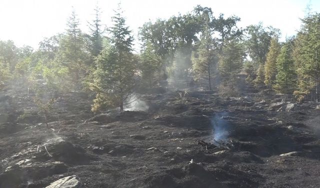 Kırklareli’nin Yündalan köyündeki orman yangını kontrol altına alındı
