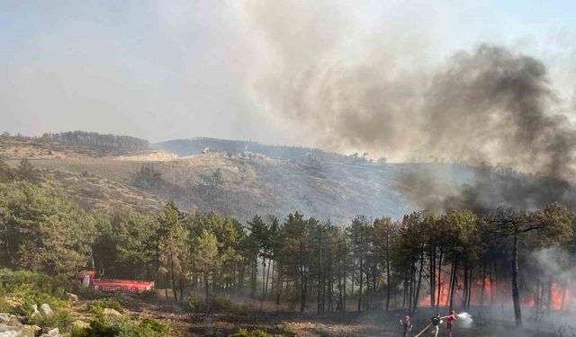 Kocaeli’den Bursa’daki orman yangınına söndürme desteği