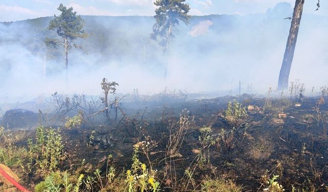 Kütahya’da gençleştirme sahasında çıkan orman yangını söndürüldü