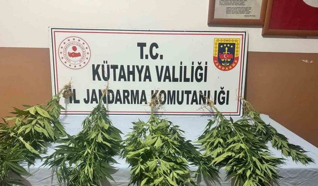 Kütahya’da jandarmadan uyuşturucu operasyonu: 2 gözaltı
