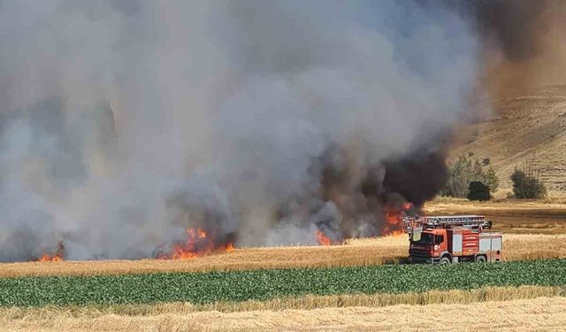 Kütahya’daki tarla yangınında yaklaşık 800 dekarlık hububat ekili alan kül oldu
