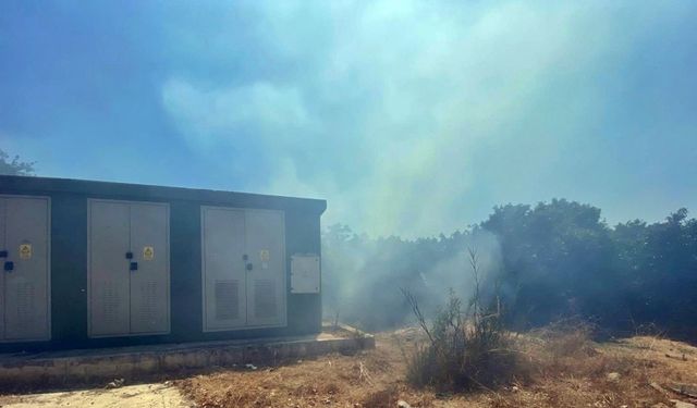 Lüks villalara yakın noktada çıkan yangın korkuttu