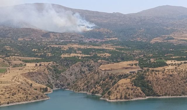 Malatya’da orman yangınına havadan müdahale