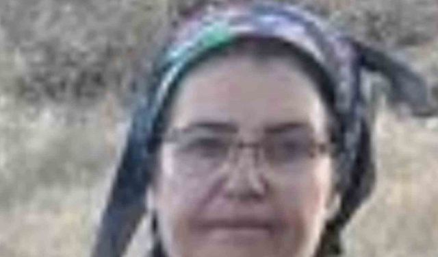 Malatya’da üç çocuk annesi havuzda ölü bulundu