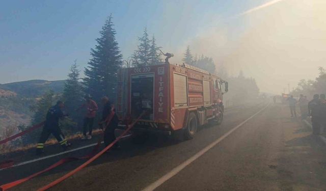 Malatya’daki orman yangınına havadan ve karadan müdahale sürüyor