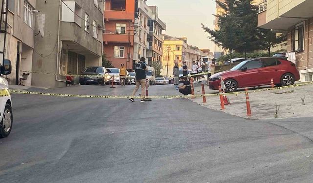 Maltepe’de kamyonetin çarptığı kadın hayatını kaybetti, kaçan şoför yakalandı