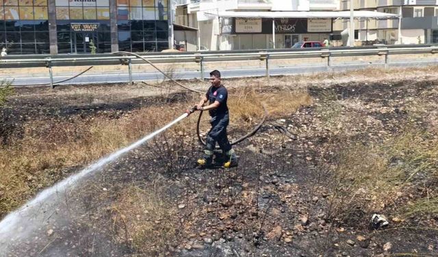 Manavgat’ta söndürülmeden atılan sigara sazlık yangınına neden oldu