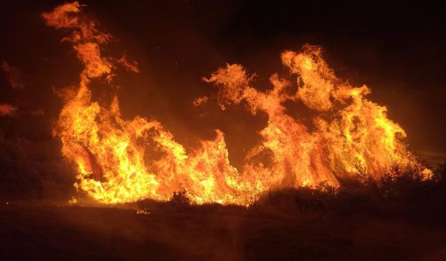 Manavgat’taki yangında 8 dönümlük tarım arazisi zarar gördü
