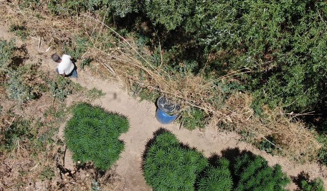Manisa’da jandarmadan büyük uyuşturucu operasyonu