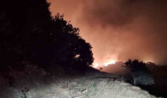 Manisa’nın Köprübaşı ilçesinde de orman yangını başladı