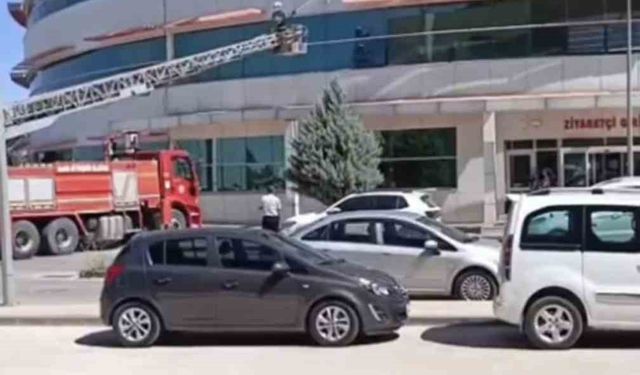 Mardin’de hastanenin dış cephesinde mahsur kalan kedi kurtarıldı
