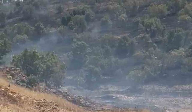 Mardin’de örtü yangını kontrol altına alındı