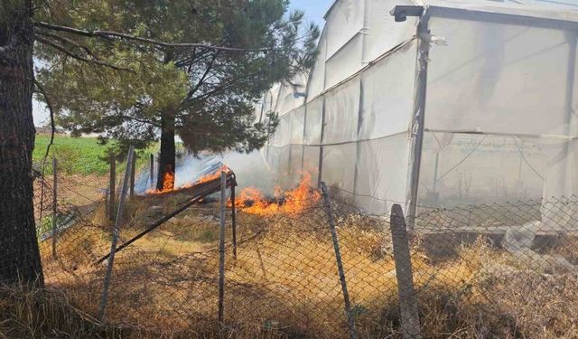Mardin’de otluk alanda çıkan yangın söndürüldü