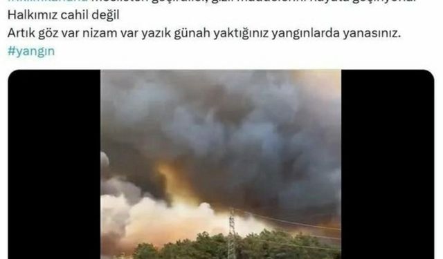 Meclis üyesinin "Hükümet bilinçli yakıyor" paylaşımına gözaltı