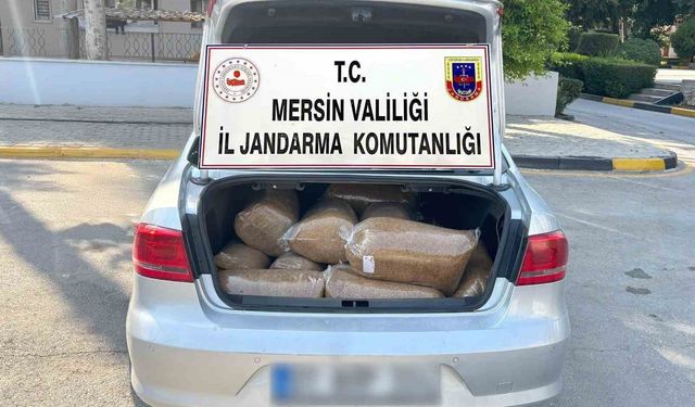 Mersin’de 100 kilo kaçak tütün ele geçirildi